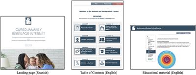 Mothers and Babies Online Course: Participant Characteristics and Behaviors in a Web-Based Prevention of Postpartum Depression Intervention